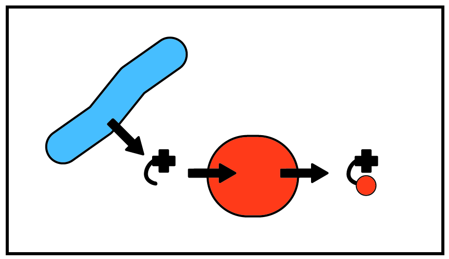 Blue microbe producing corrinoid precursor which is being used by a red microbe that converts it to a complete corrinoid